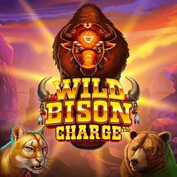 Wild-Bison-Charge